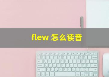 flew 怎么读音